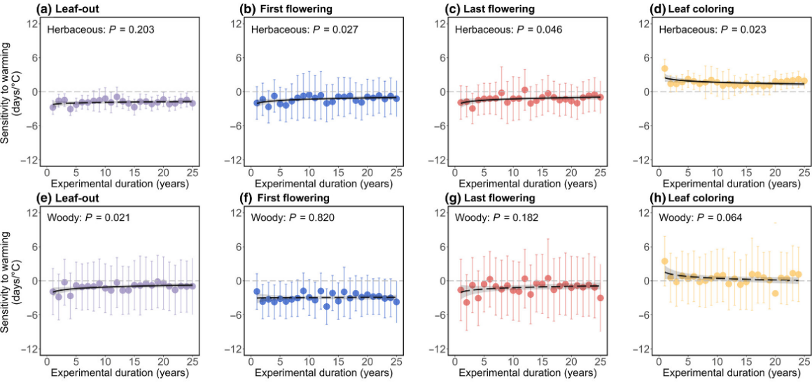 6d83da0e-30c8-41d6-9507-9aecba5f21e0.png 6d83da0e-30c8-41d6-9507-9aecba5f21e0.png