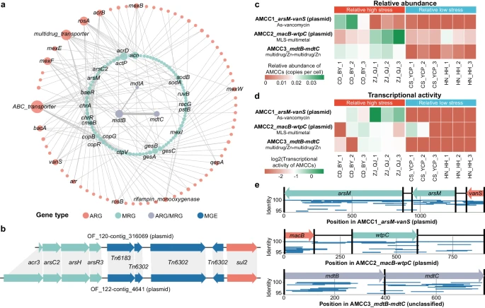 1729144970220.jpg 图片